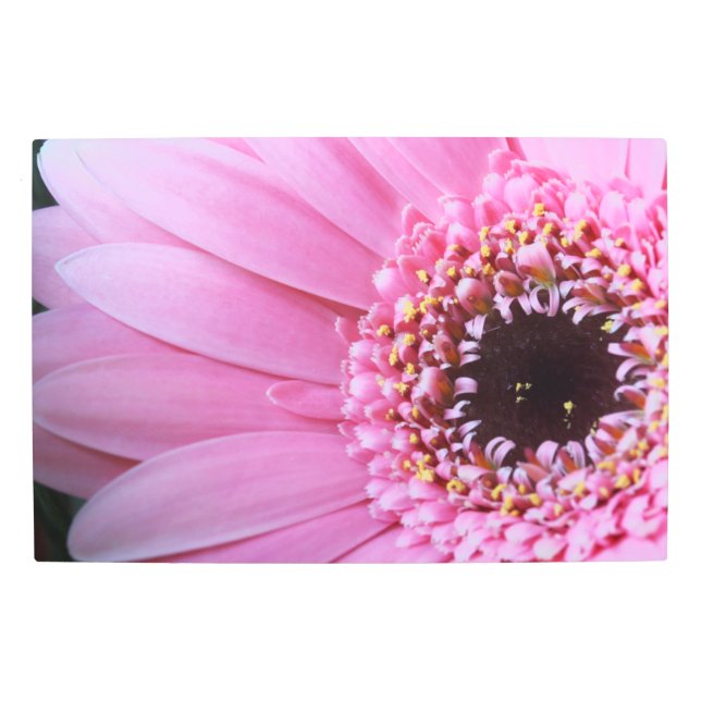Light Pink Gerbera Metal Wall Art (Front)
