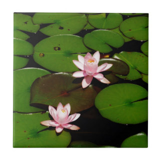 light  pink lotus water lily flower tile