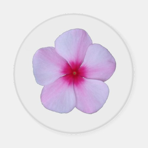 Light Pink Phlox Coaster Set