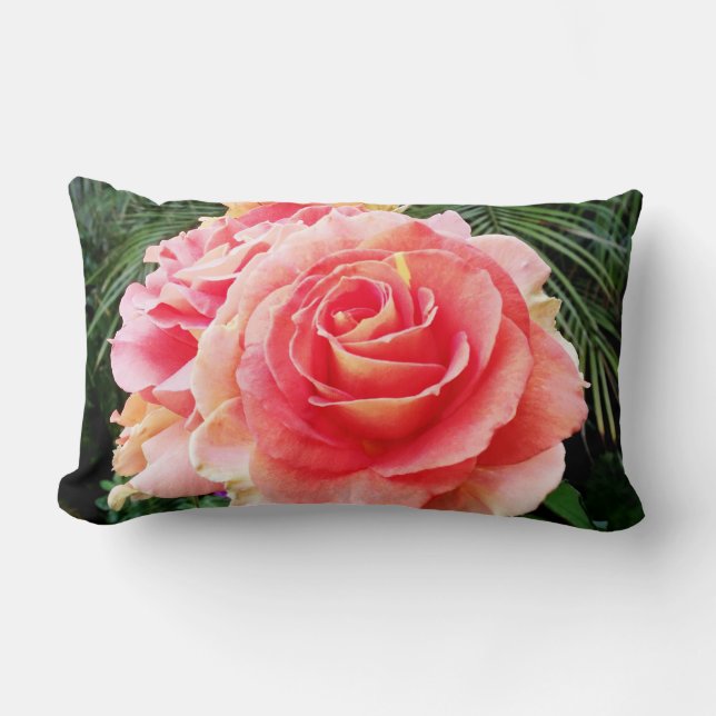 Light pink rose flower close-up photo bold modern lumbar pillow (Front)