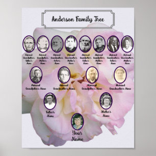 Light Pink Rose Photo with Oval Ancestor Photos Poster