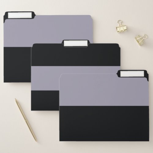 Light Purple and Black Simple Extra Wide Stripes File Folder