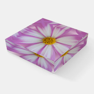 Light purple flower paperweight