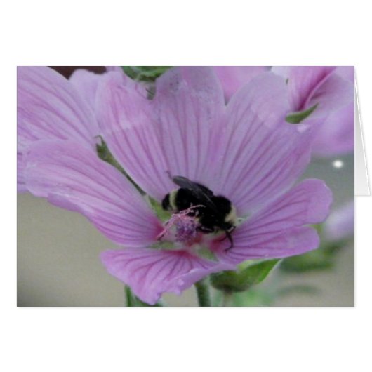 Light Purple Flower With Bee Card (Front Horizontal)