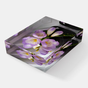 Light purple freesias paperweight