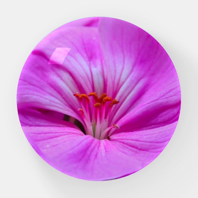 Light Purple Geranium Round Paperweight (Front)