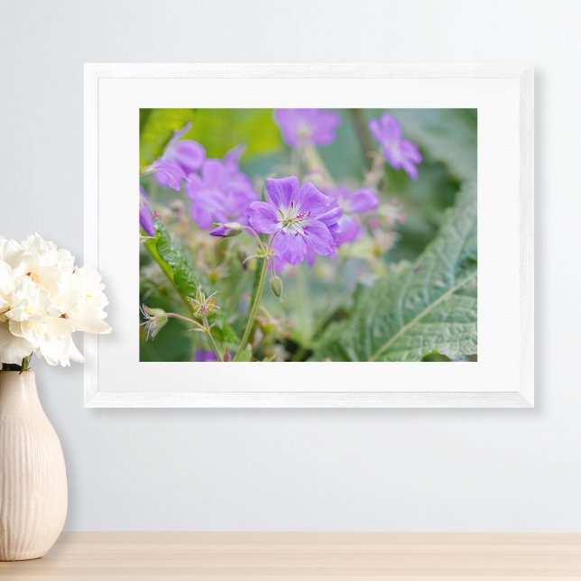 Light Purple Geranium Wildflower Botanical Photo Poster (Please note: This image is a digital mockup. The product may not be in scale.)