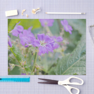 Light Purple Geranium Wildflower Botanical Photo Tissue Paper