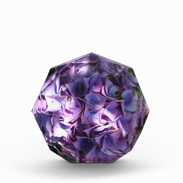 Light Purple Hydrangea Flower Acrylic Award (Front)