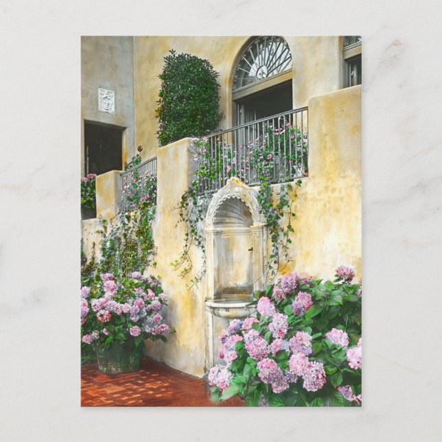Light Purple Hydrangeas in full bloom Postcard (Front)