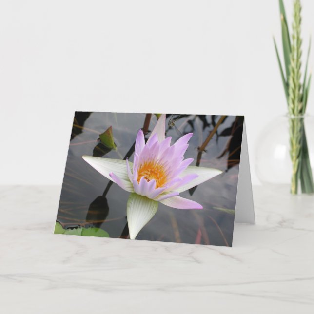 Light Purple Water Lily Card (Front)