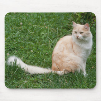 Light-Red Beauty Mouse Pad