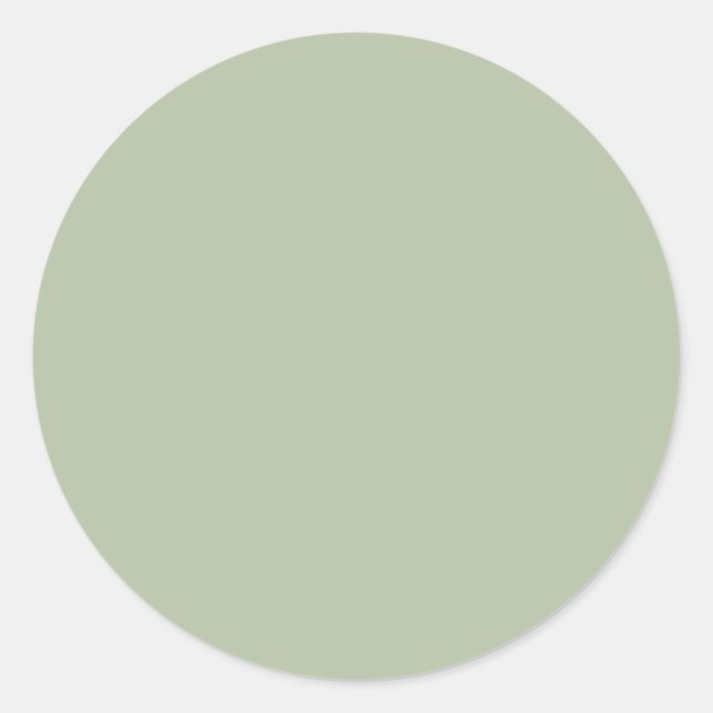 Light Sage Green Solid Color Classic Round Sticker (Front)