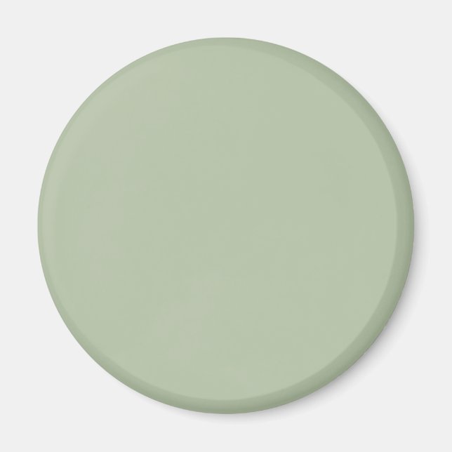 Light Sage Green Solid Color Magnet (Front)