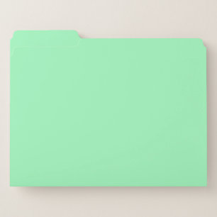 Light Sea-Foam File Folder