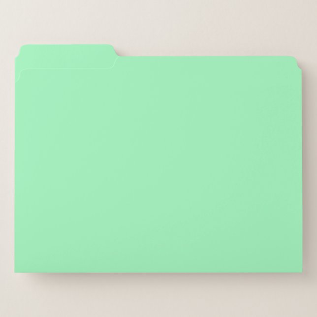 Light Sea-Foam  File Folder (Front Left)