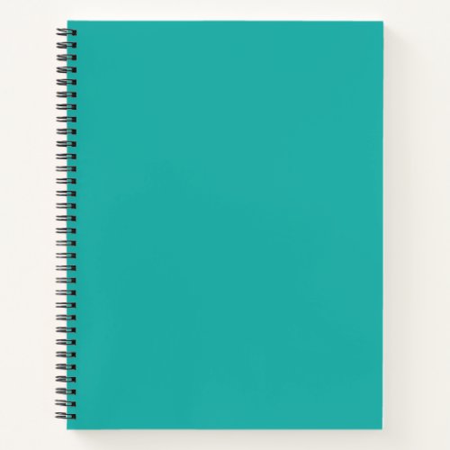 Light Sea Green Solid Color Notebook