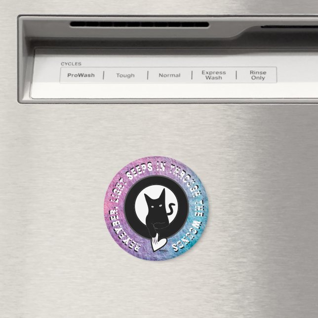 Light Seeps In Magnet by Poet Adiela Akoo (In Situ (Dishwasher))