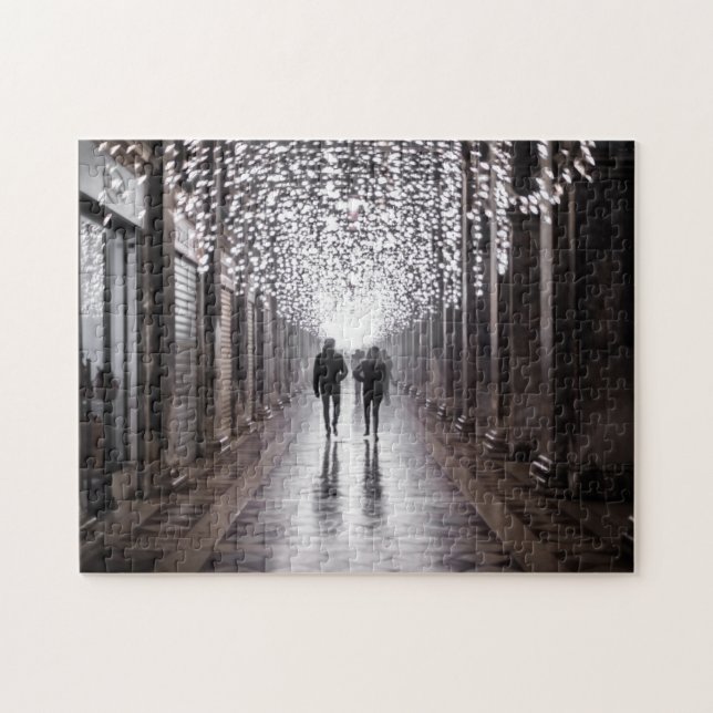 Light, shadows and symmetry - sepia jigsaw puzzle (Horizontal)