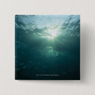 Light shining on coral reef and school of fish pinback button