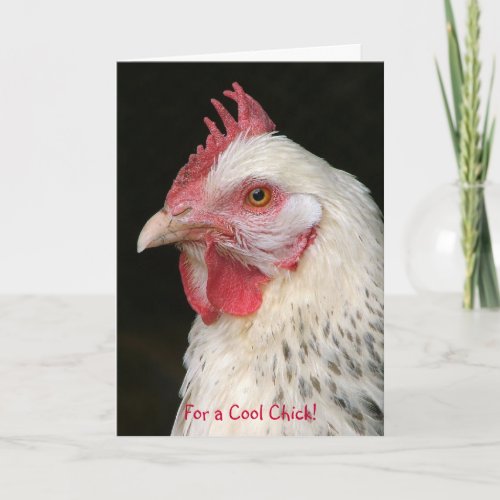 Light sussex hen card