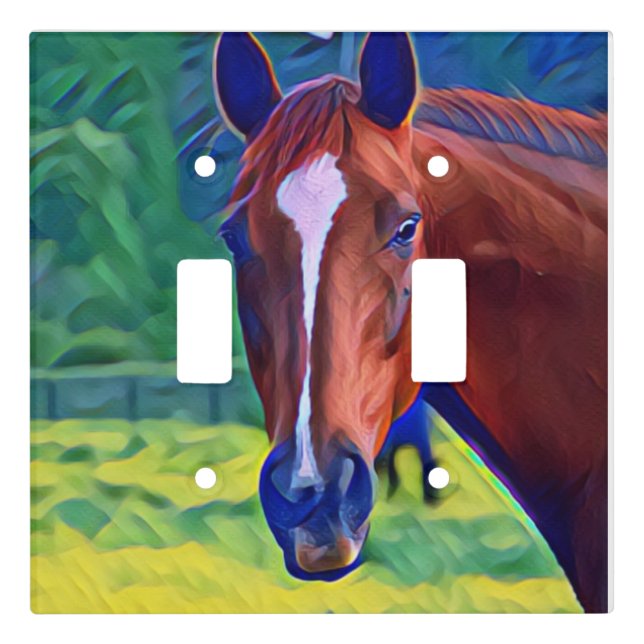 light switch cover (Front)
