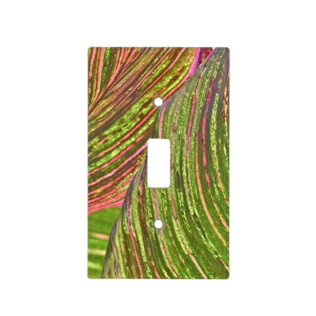 LIGHT SWITCH COVER/ "CANNA LEAVES"/DIG. EFFECTS COVER (Front)