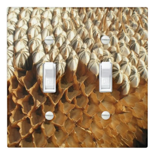 Light Switch Cover _ Dried Sunflower Head