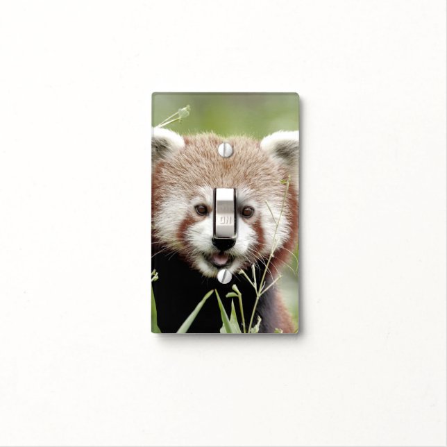 Light Switch Cover. panda . Cover (In Situ)