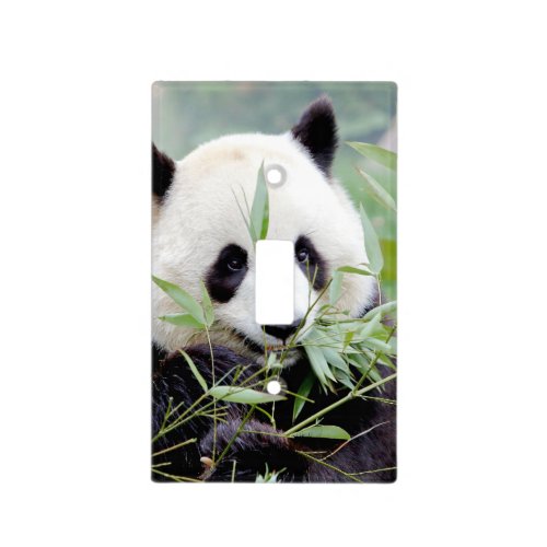 Light Switch Cover photo giant panda 