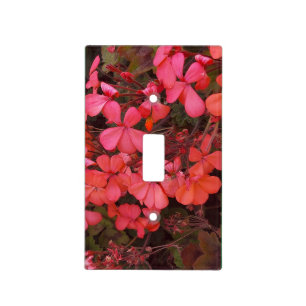 Light Switch cover with small red flowers