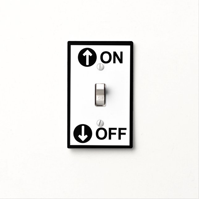 Light Switch for Dummies Cover (In Situ)