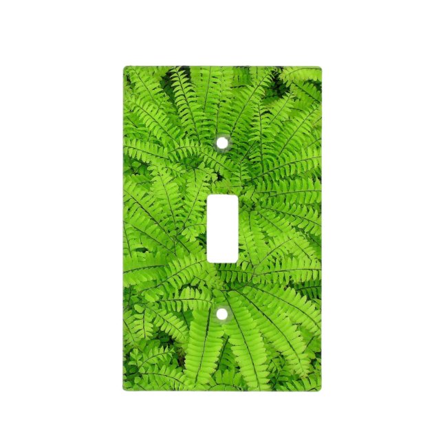 LIGHT SWITCH PLATE COVER, "FERNS" (Front)