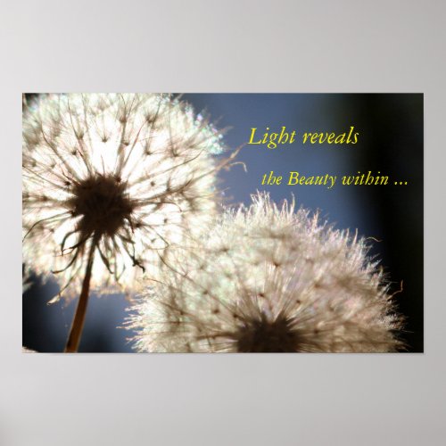 Light Thoughts Poster