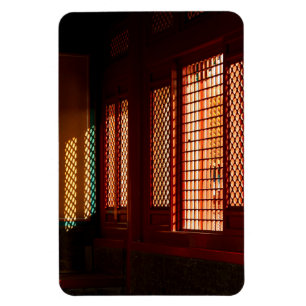 Light Through Mesh Window openings Magnet