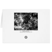 Light Through the Trees Cards (Back Horizontal)