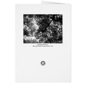 Light Through the Trees - Vertical (Back)