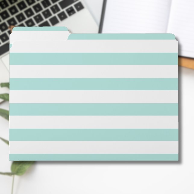 Light Turquoise and White Wide Horizontal Striped File Folder (Creator Uploaded)