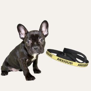 Light Yellow Dog Leash for Anxious Dogs