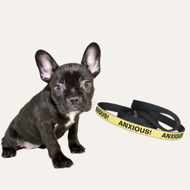 Light Yellow Dog Leash for Anxious Dogs (Yellow Anxious Dog Leash)