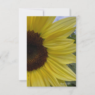 Light Yellow Sunflower Note Card