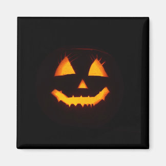 Lighted Jack O Lantern  Magnet