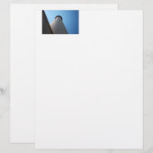 Lighthouse (Front/Back)