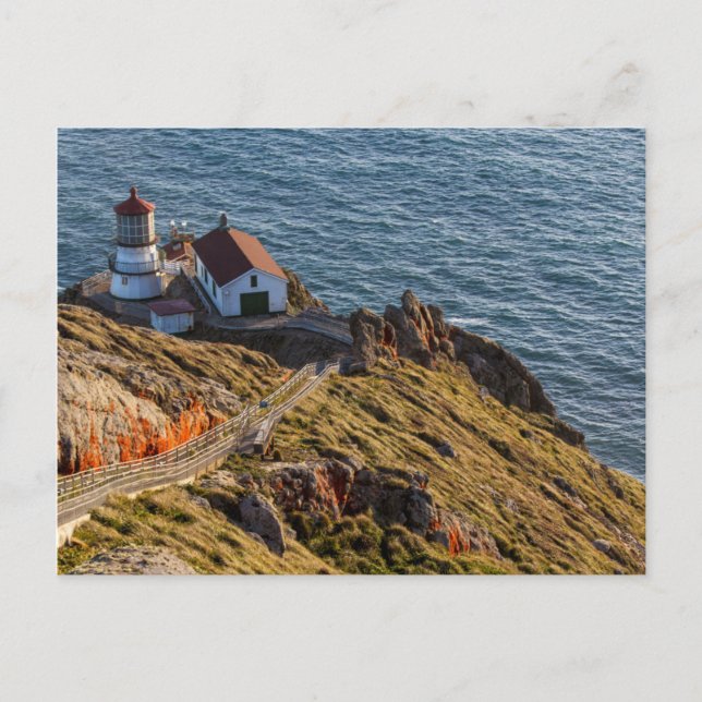Lighthouse At Point Reyes National Seashore Postcard (Front)