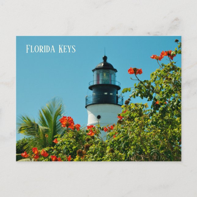 Lighthouse in the Florida Keys Postcard (Front)