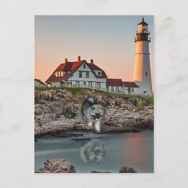 Lighthouse Reflections Postcard (Front)