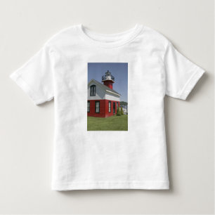 Lighthouse relocated shore in Douglas near 2 Toddler T-shirt