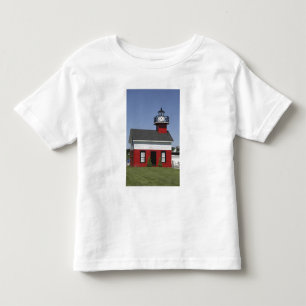 Lighthouse relocated shore in Douglas near Toddler T-shirt