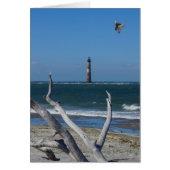 Lighthouse Sightseeing (Front)