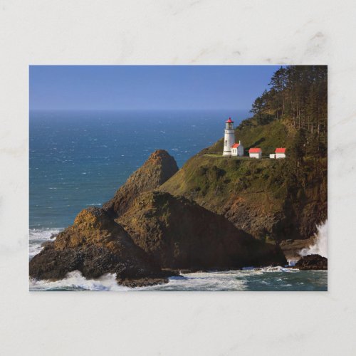 Lighthouses  Oregon Coast Lighthouse Postcard